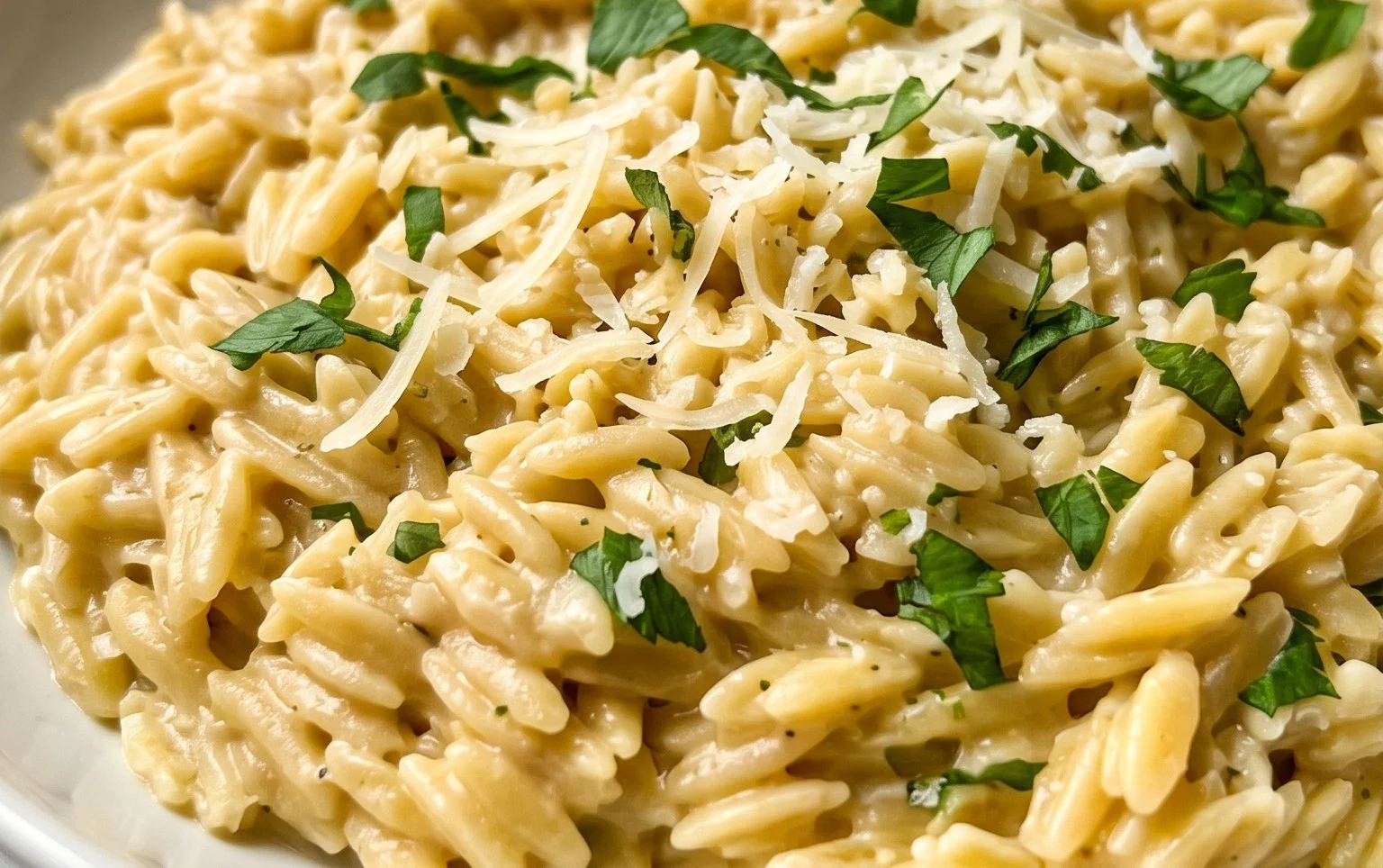 Creamy Garlic Parmesan Orzo